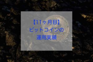 ビットコイン11ヶ月目の運用実績